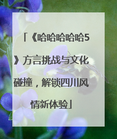 《哈哈哈哈哈5》方言挑战与文化碰撞，解锁四川风情新体验