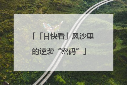 「甘快看」风沙里的逆袭“密码”