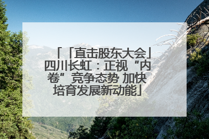 「直击股东大会」四川长虹：正视“内卷”竞争态势 加快培育发展新动能