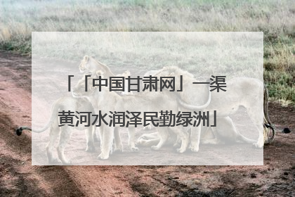 「中国甘肃网」一渠黄河水润泽民勤绿洲