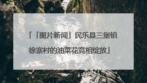 「图片新闻」民乐县三堡镇徐寨村的油菜花竞相绽放