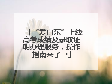 “爱山东”上线高考成绩及录取证明办理服务，操作指南来了→