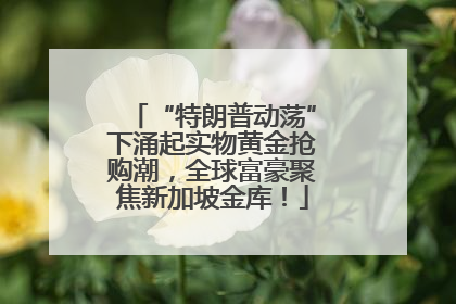 “特朗普动荡”下涌起实物黄金抢购潮，全球富豪聚焦新加坡金库！