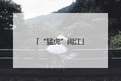 “猛虎”闹江