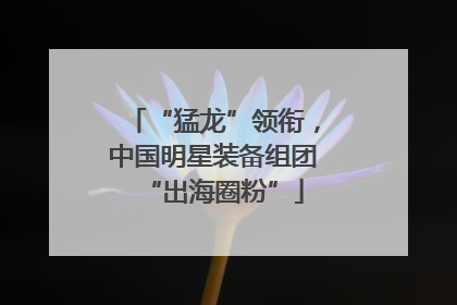 “猛龙”领衔，中国明星装备组团“出海圈粉”