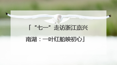 “七一”走访浙江嘉兴南湖：一叶红船映初心