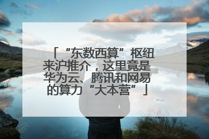 “东数西算”枢纽来沪推介，这里竟是华为云、腾讯和网易的算力“大本营”