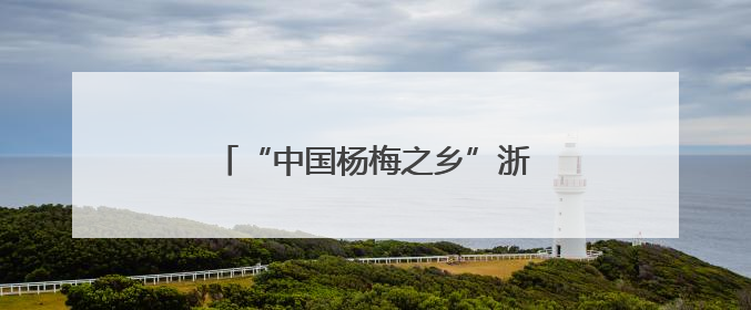 “中国杨梅之乡”浙江仙居启动杨梅季