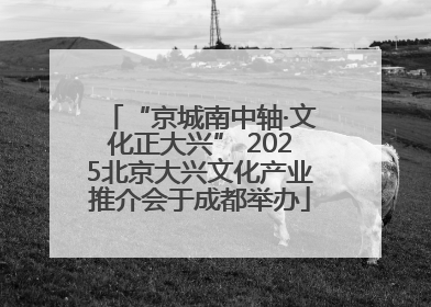 “京城南中轴·文化正大兴” 2025北京大兴文化产业推介会于成都举办