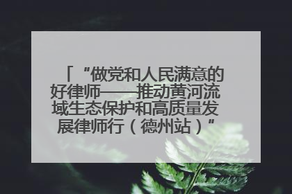 “做党和人民满意的好律师——推动黄河流域生态保护和高质量发展律师行（德州站）”活动成功举办