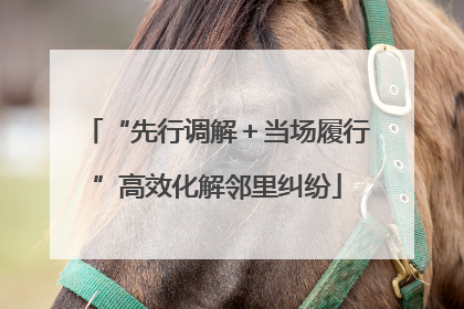 “先行调解＋当场履行”高效化解邻里纠纷