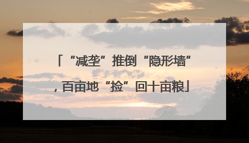 “减垄”推倒“隐形墙”，百亩地“捡”回十亩粮