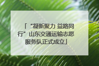 “凝新聚力 益路同行”山东交通运输志愿服务队正式成立
