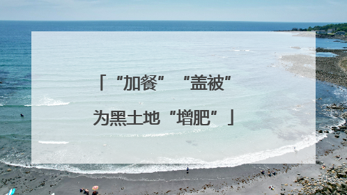 “加餐”“盖被” 为黑土地“增肥”
