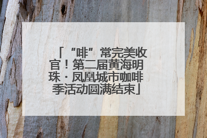 “啡”常完美收官！第二届黄海明珠・凤凰城市咖啡季活动圆满结束
