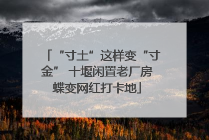 “寸土”这样变“寸金” 十堰闲置老厂房蝶变网红打卡地
