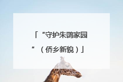 “守护朱鹮家园”（侨乡新貌）