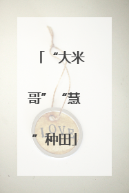 “大米哥”“慧”种田