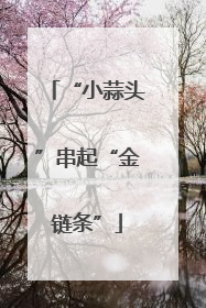 “小蒜头”串起“金链条”