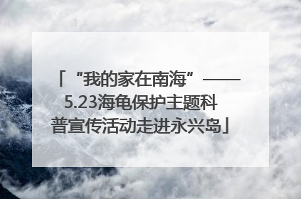 “我的家在南海”——5.23海龟保护主题科普宣传活动走进永兴岛