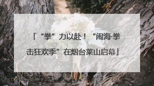 “拳”力以赴！“闹海·拳击狂欢季”在烟台莱山启幕