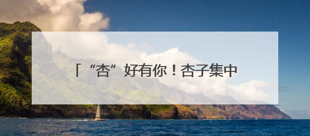“杏”好有你！杏子集中登鹭，价格低于去年同期