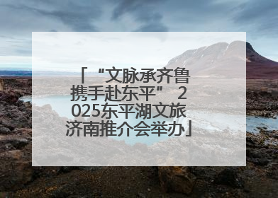 “文脉承齐鲁 携手赴东平” 2025东平湖文旅济南推介会举办
