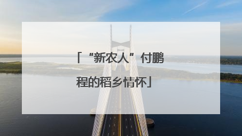 “新农人”付鹏程的稻乡情怀
