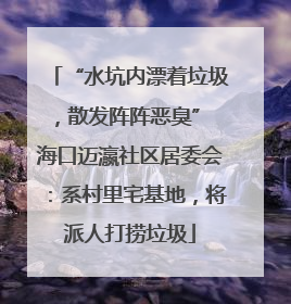 “水坑内漂着垃圾，散发阵阵恶臭” 海口迈瀛社区居委会：系村里宅基地，将派人打捞垃圾