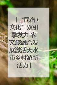 “民宿+文化”双引擎发力 农文旅融合发展激活天水市乡村游新活力