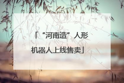 “河南造”人形机器人上线售卖