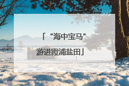 “海中宝马”游进霞浦盐田