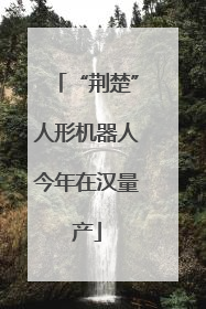 “荆楚”人形机器人今年在汉量产