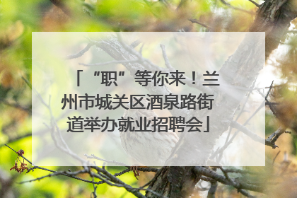 “职”等你来！兰州市城关区酒泉路街道举办就业招聘会
