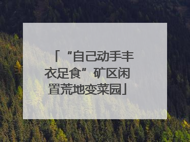 “自己动手丰衣足食”矿区闲置荒地变菜园
