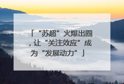 “苏超”火爆出圈，让“关注效应”成为“发展动力”