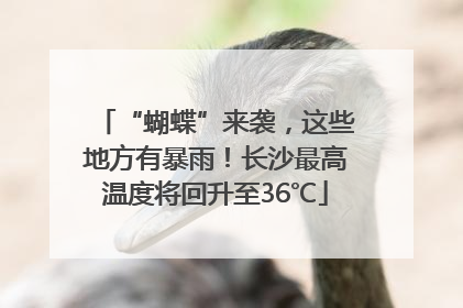 “蝴蝶”来袭，这些地方有暴雨！长沙最高温度将回升至36℃
