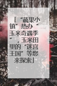“蔬果小镇”热办“玉米奇遇季”，玉米田里的“迷宫王国”等您来探索