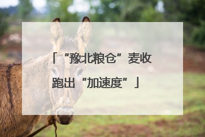 “豫北粮仓”麦收跑出“加速度”