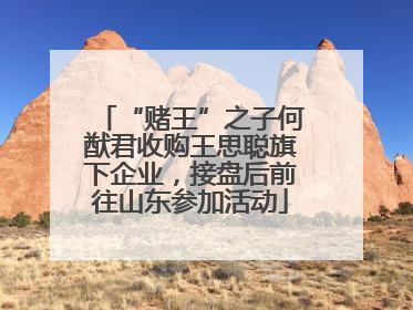 “赌王”之子何猷君收购王思聪旗下企业，接盘后前往山东参加活动