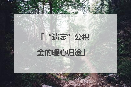 “遗忘”公积金的暖心归途