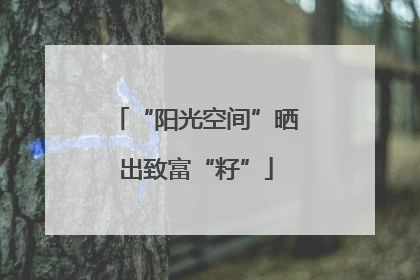 “阳光空间”晒出致富“籽”