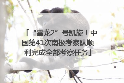 “雪龙2”号凯旋！中国第41次南极考察队顺利完成全部考察任务