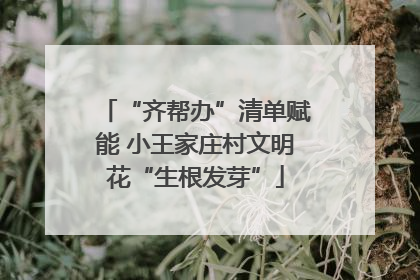 “齐帮办”清单赋能 小王家庄村文明花“生根发芽”