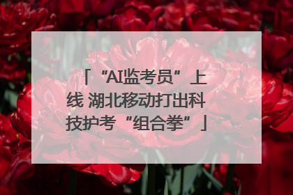“AI监考员”上线 湖北移动打出科技护考“组合拳”