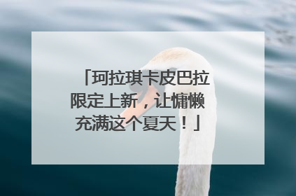 珂拉琪卡皮巴拉限定上新，让慵懒充满这个夏天！