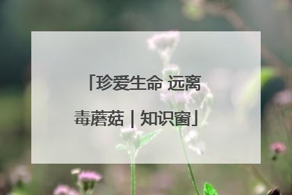 珍爱生命 远离毒蘑菇｜知识窗