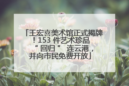 王宏喜美术馆正式揭牌！153 件艺术珍品 “ 回归 ” 连云港，并向市民免费开放