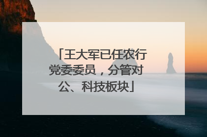 王大军已任农行党委委员，分管对公、科技板块