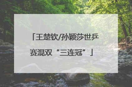 王楚钦/孙颖莎世乒赛混双“三连冠”